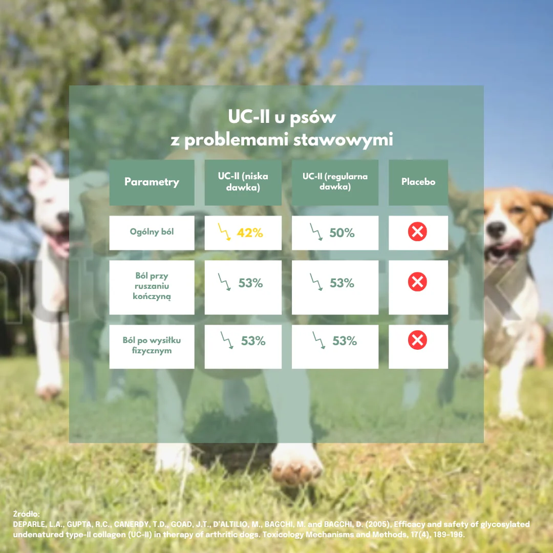 Olej dla psów na stawy z UC-II® - Image 4