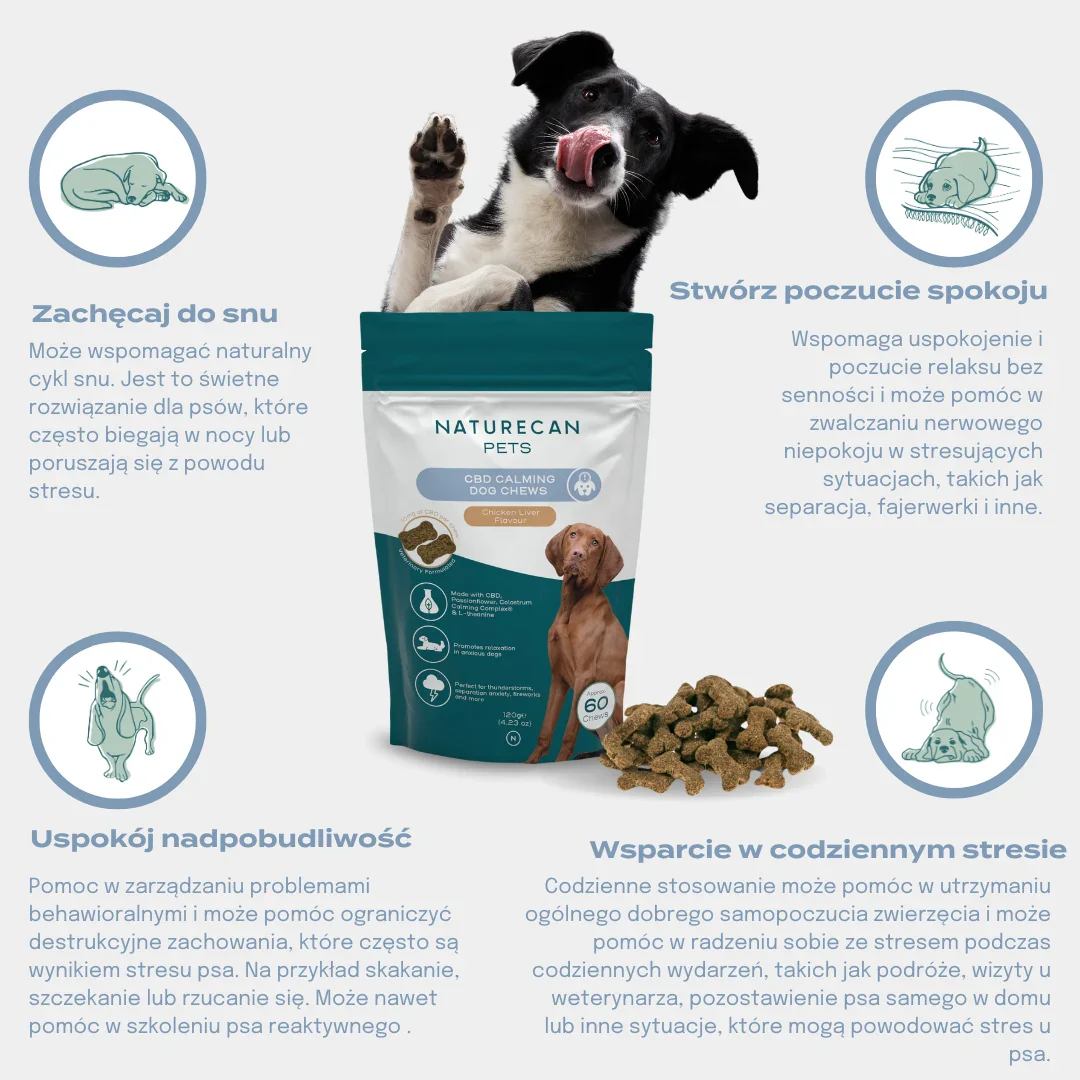 CBD przysmaki dla psa na uspokojenie - Image 9