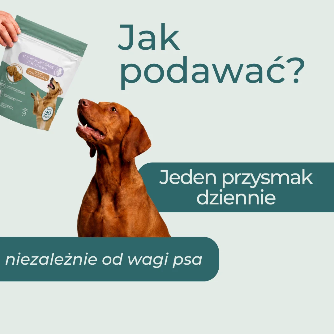 Przysmaki dla psów na stawy z UC-II® - Image 9